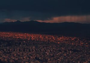 Başlık: Kurtlar, Şehir Yaşamına Alıştırılan Yaban Domuzlarını İzle