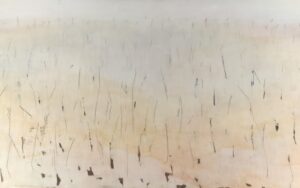 Bakan Kacır: OSB'lerimizin 11 Katı Büyüklüğe Ulaşan Alanlarda Mega E