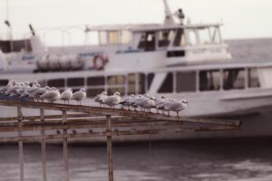 Balkan Barış Platformu 2. Dışişleri Bakanları Toplantısı İstanbul'da