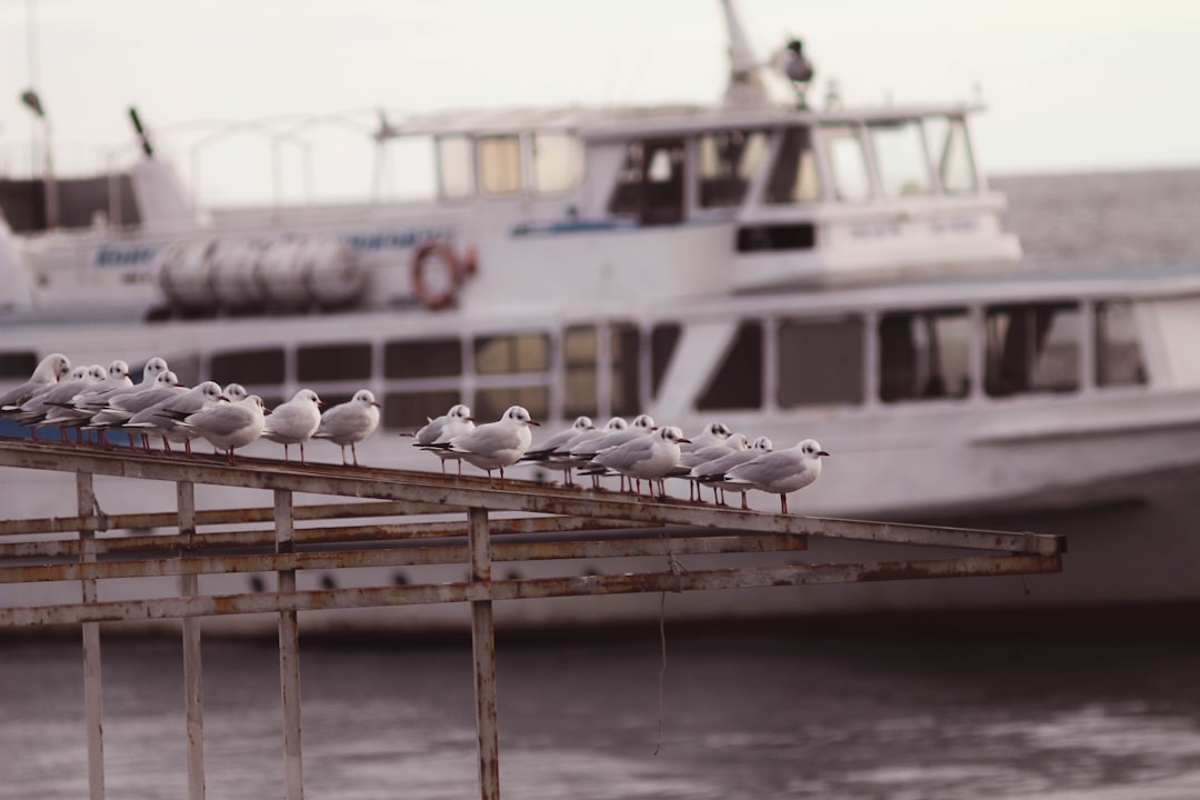 Balkan Barış Platformu 2. Dışişleri Bakanları Toplantısı İstanbul'da