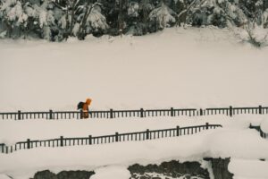 Bitlis'te Kar Hayatı Durma Noktasına Getirdi