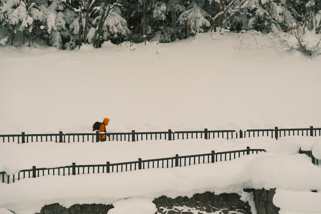 Bitlis'te Kar Hayatı Durma Noktasına Getirdi