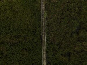 Dünyanın En Uzun Adamı Sultan Kösen'in Ellerinin Kalıbı Çıkartıldı