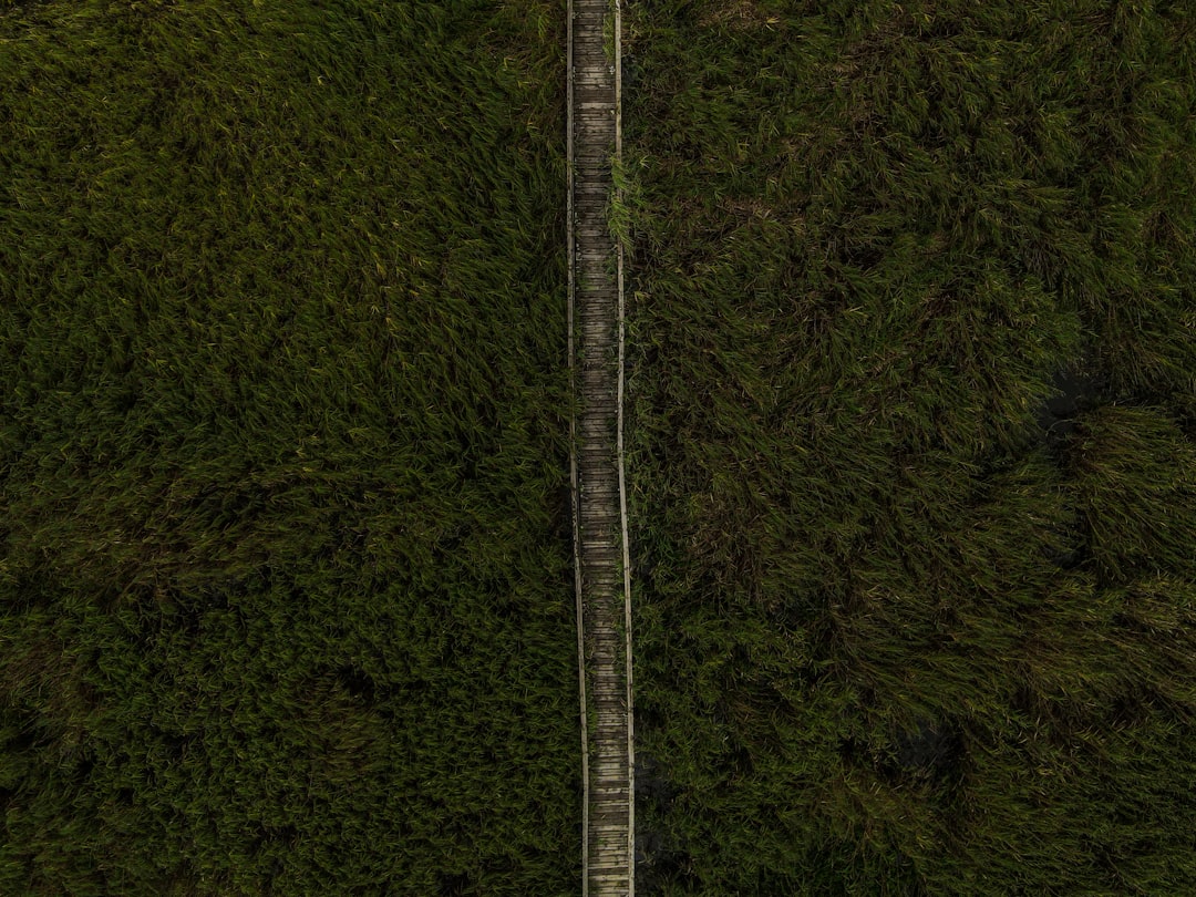 Dünyanın En Uzun Adamı Sultan Kösen'in Ellerinin Kalıbı Çıkartıldı