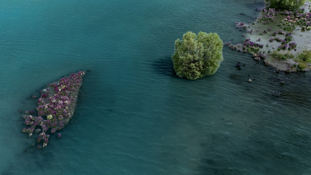 Darwin Limanı'nın Devri Meselesi