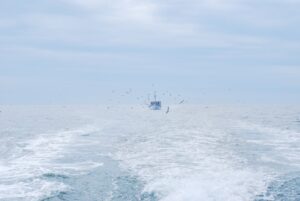 Bakan Fidan: Avrupalılar olarak hepimiz aynı gemideyiz