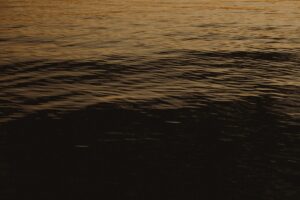 Devlet Su İşleri 2026 Baraj Projelerini Açıkladı