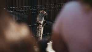 Doğukan Güngör Gözaltına Alındı