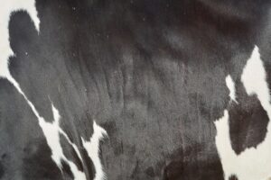 Efkan Ala "Yılın Kareleri" Oylamasına Katıldı