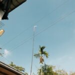 Enerji Bakanı Bayraktar ve Libya Başbakanı Dibeybe'nin Enerji İşbirl