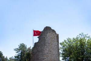Erzurum Valisi Mustafa Çiftçi, AA'nın "Yılın Kareleri"ni Oyladı