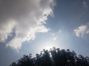 Gökçeada ve Bozcaada Feribot Seferleri İptal Edildi