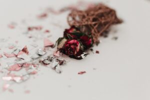 Güller ve Günahlar 15. Bölüm İzleme Ekranda