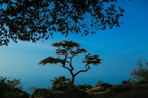 Güney Afrika, İsrail'in Pretorya Maslahatgüzarını İstenmeyen Kişi İl