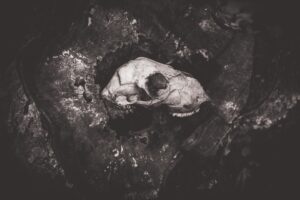 Güngören'de Ölütülen Atlas Çağlayan'ın Annesi Basın Mensuplarına Konuş