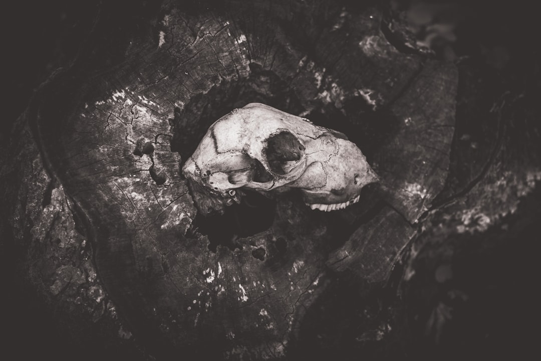 Güngören'de Ölütülen Atlas Çağlayan'ın Annesi Basın Mensuplarına Konuş