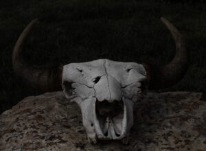 Güngören'de Öldürülen Atlas Çağlayan ile İlgili Provokatif Paylaşım