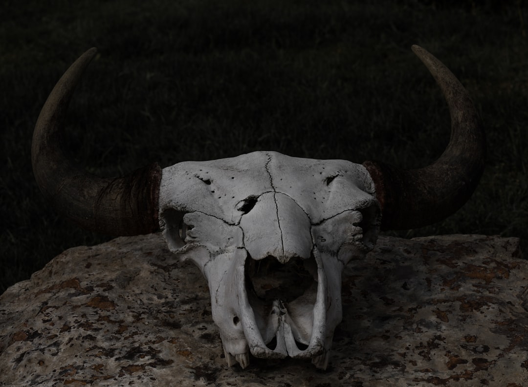 Güngören'de Öldürülen Atlas Çağlayan ile İlgili Provokatif Paylaşım