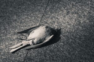 Haldun Dormen Ölümü: Ünlü Oyuncunun Son Anları ve Ölüm Nedeni