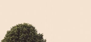 Haseke'de Suriye ve YPG Arasındaki Anlaşma