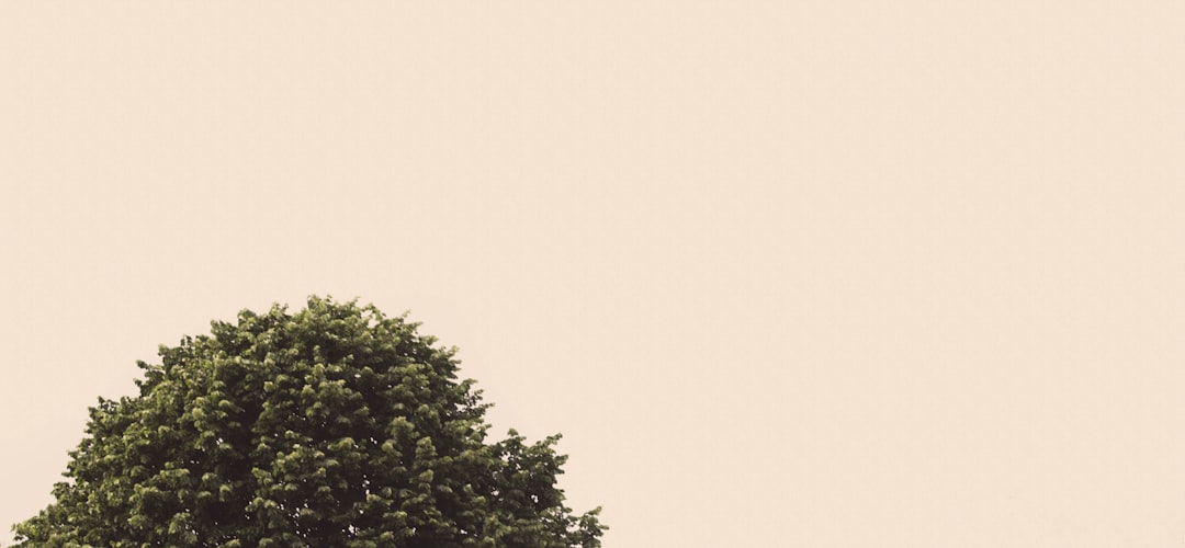 Haseke'de Suriye ve YPG Arasındaki Anlaşma