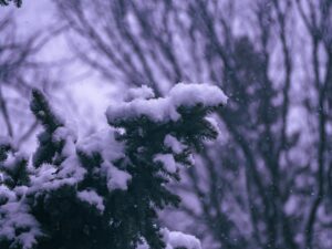 İstanbul'a Yeniden Kar Geliyor