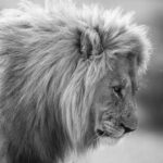 İstanbul Valiliği, İBB'ye Ait Kreşteki Darp ve İstismar İddialarına