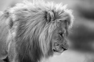 İstanbul Valiliği, İBB'ye Ait Kreşteki Darp ve İstismar İddialarına