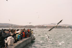 ikas Eyüpspor, Türkiye Kupası'ndaki ilk galibiyetini aldı