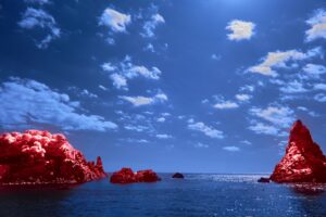 Kırmızı Deniz Mavi İnsan: Oktar Asoğlu'nun Yazarlık Dünyasında Yeni