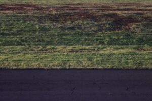 Kızılcık Şerbeti 120. Bölüm İzle: Yeni Gelişmeler ve Canlı Yayın Bilgi