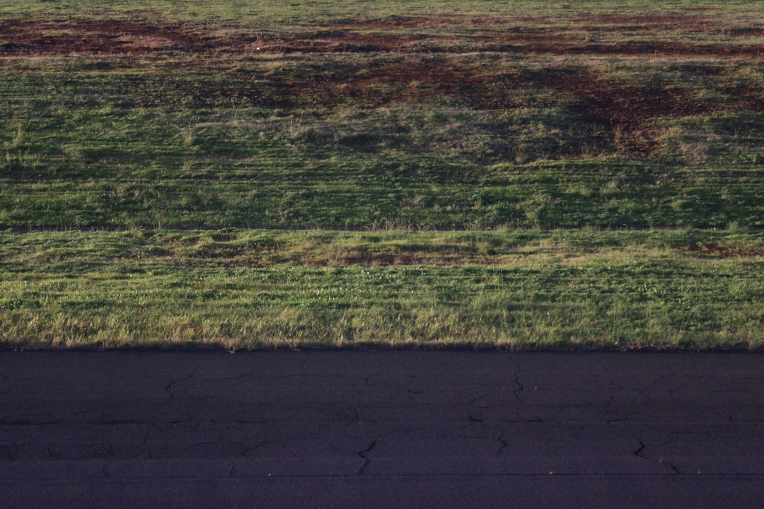 Kızılcık Şerbeti 120. Bölüm İzle: Yeni Gelişmeler ve Canlı Yayın Bilgi