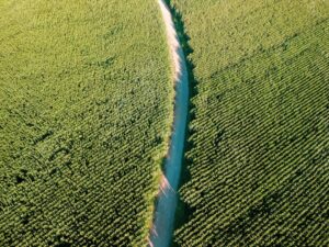 Kanal D'nin Uzak Şehir dizisinin 46. bölümünü izlemek isteyen seyircil