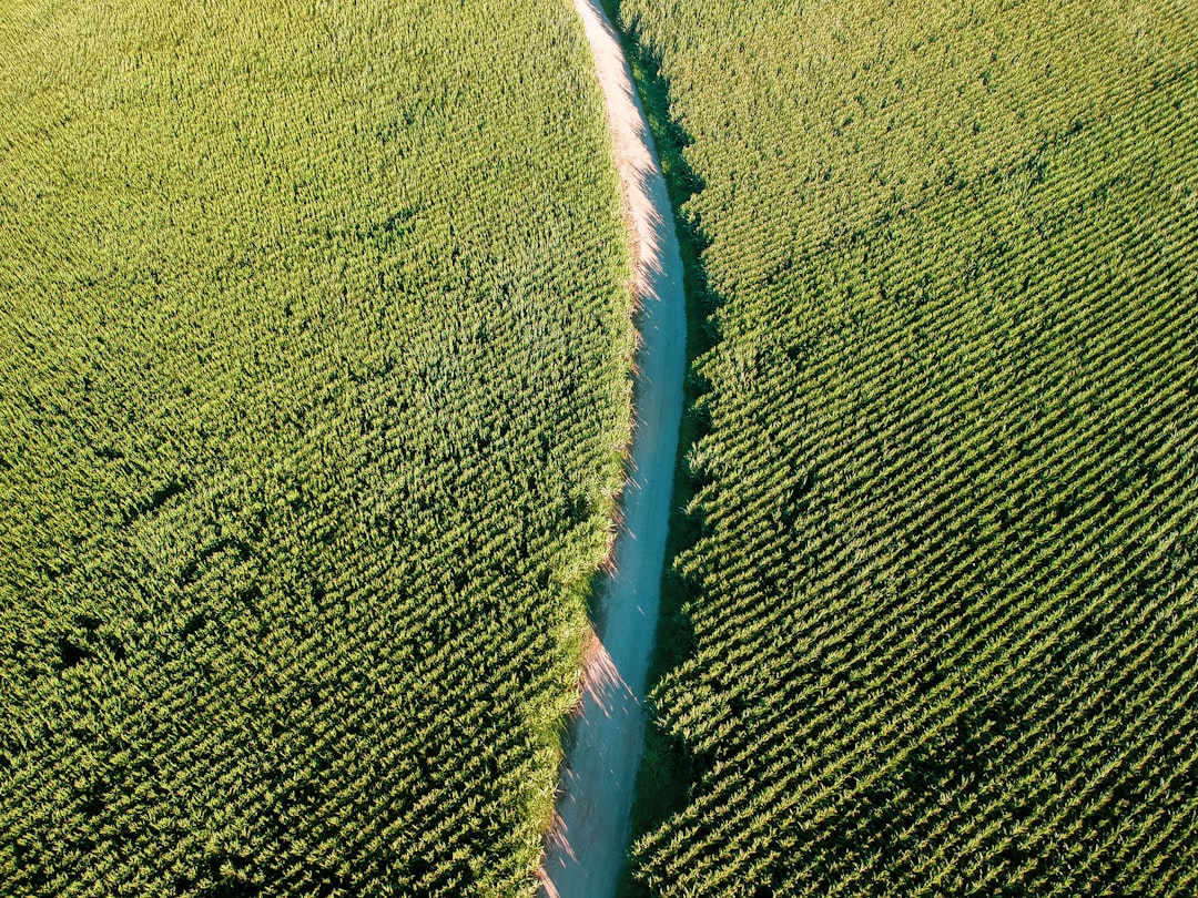 Kanal D'nin Uzak Şehir dizisinin 46. bölümünü izlemek isteyen seyircil