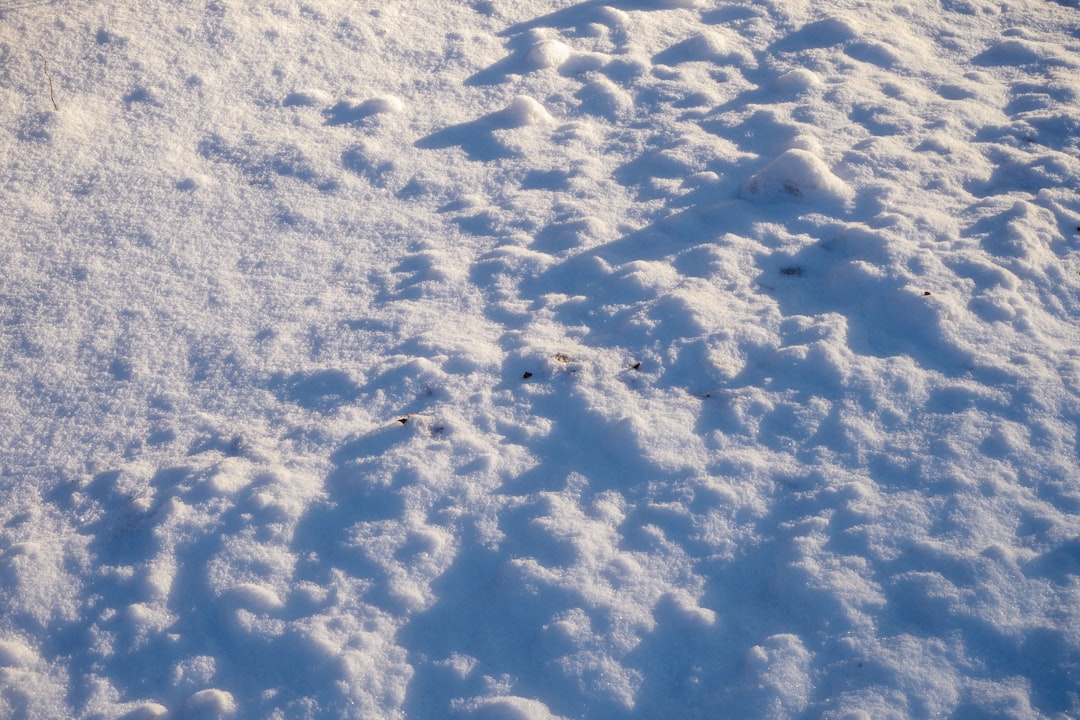 Keşan'da Kar Yağışı