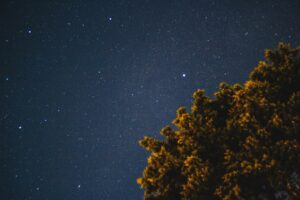 Kenan Yıldız'ın Gollü Maçı