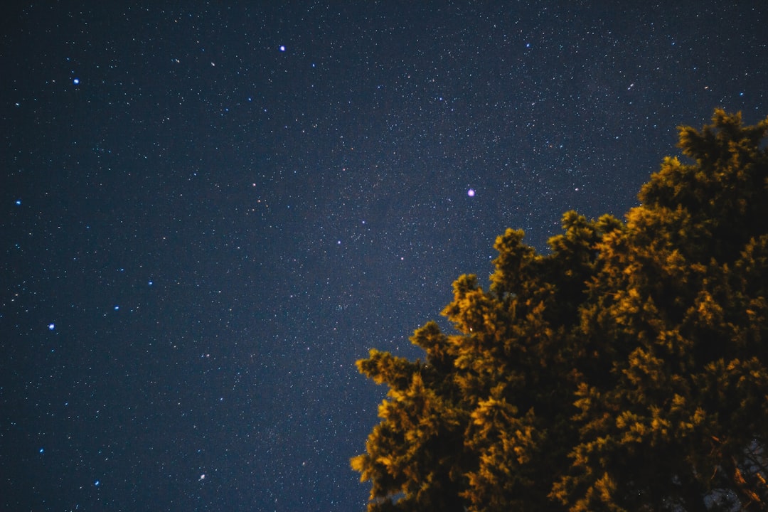 Kenan Yıldız'ın Gollü Maçı