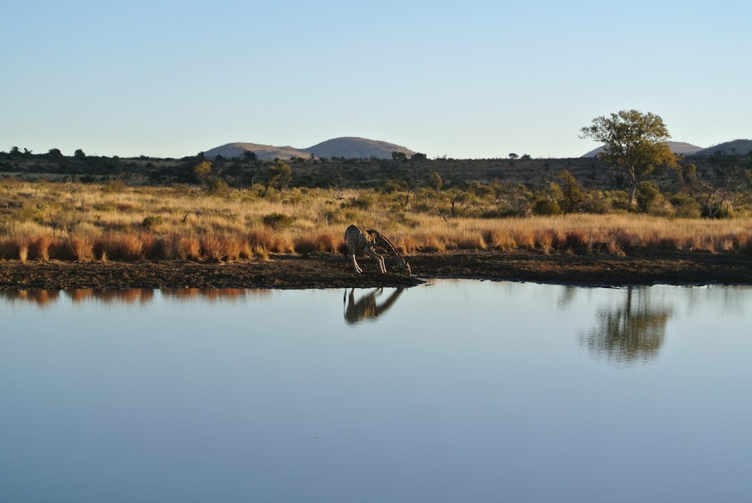 Kruger Ulusal Parkı Kapatıldı