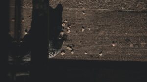 Marmara Bölgesi'ndeki Sağanak Yağışlar Devam Ediyor