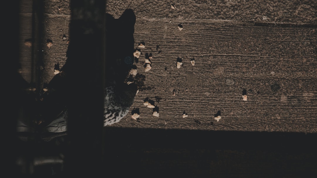 Marmara Bölgesi'ndeki Sağanak Yağışlar Devam Ediyor