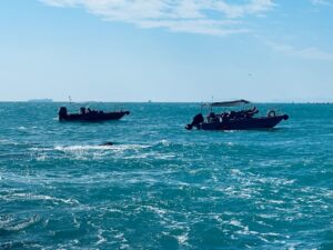 Mersin'de Kaçakçılık Operasyonu