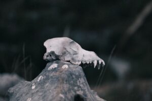 Minik Leyla'nın Öldürülmesiyle İlgili 7 Sanık Yürütülen İncelemede