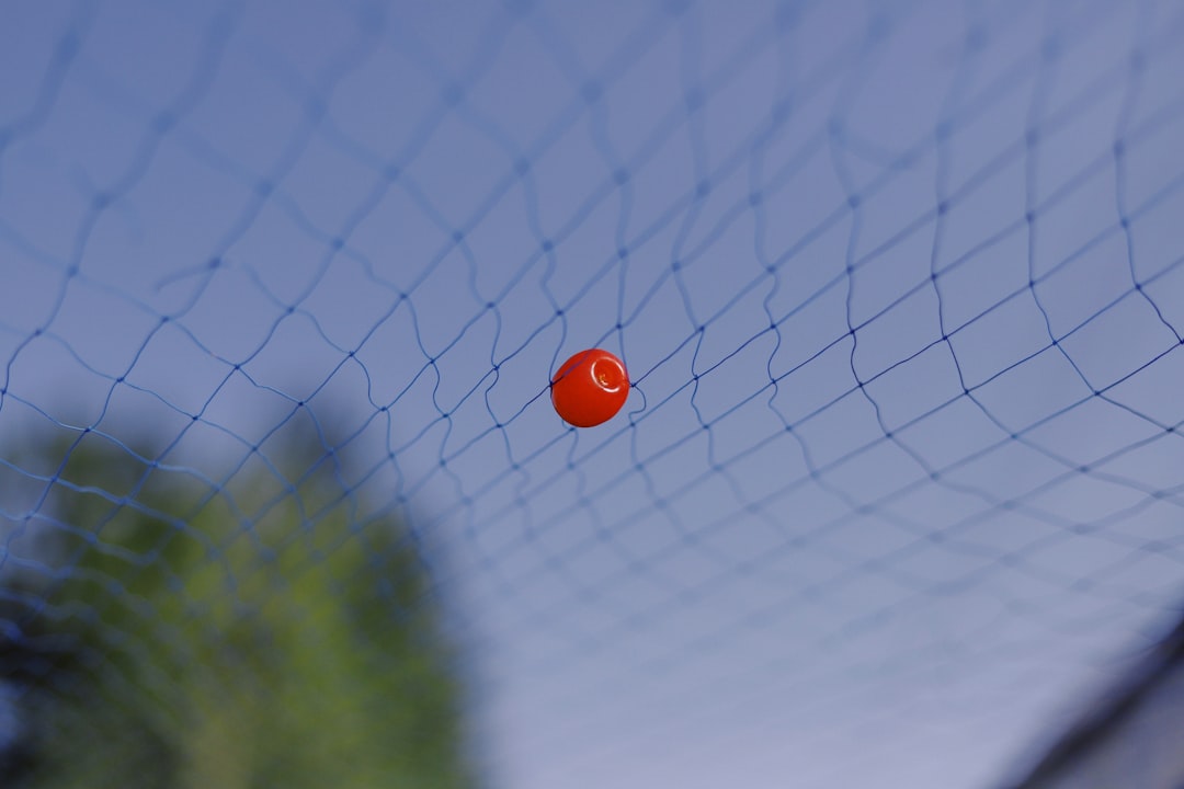 MPİ Şans Topu Sonuçları 11 Ocak 2026