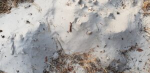 Muş'ta Yolu Kardan Kapanan Köyde Hasta Ekiplerce Hastaneye Ulaştırıl