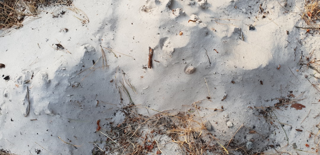 Muş'ta Yolu Kardan Kapanan Köyde Hasta Ekiplerce Hastaneye Ulaştırıl