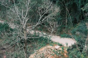 Muradiye Şelalesi'nin Çevresi Beyaza Büründü