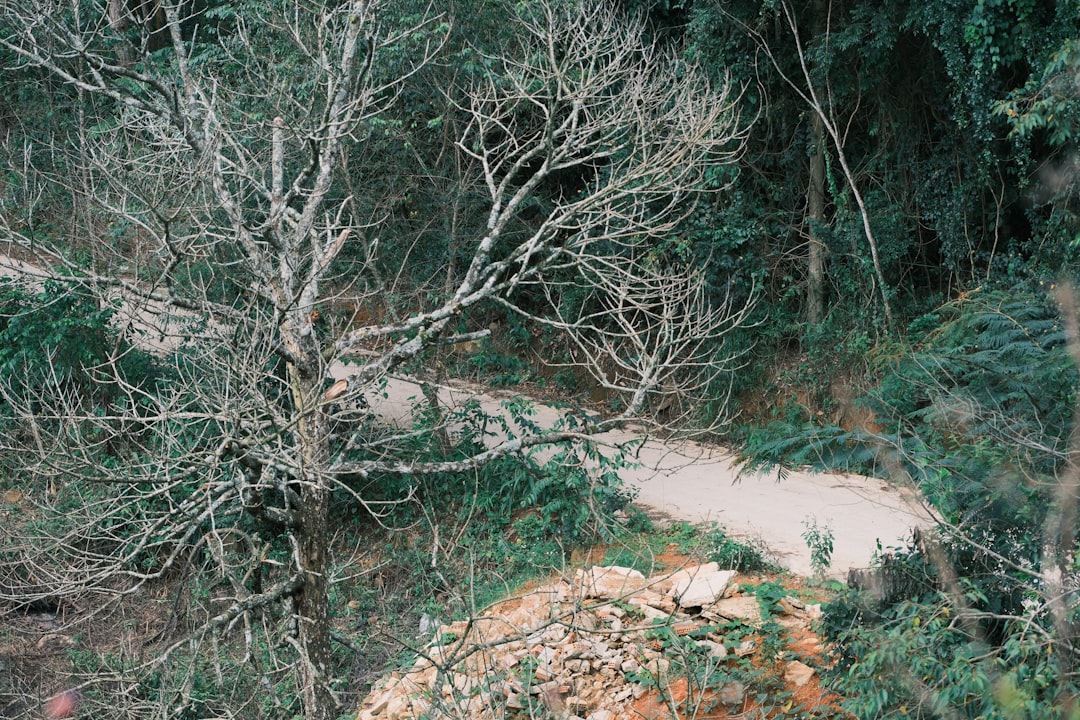 Muradiye Şelalesi'nin Çevresi Beyaza Büründü