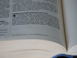 PFDK'den 146 Teknik Sorumlu ve Antrenöre "Bahis" Cezası