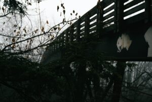 Rakka'da Köprüleri Havaya Uçuran SDG/YPG