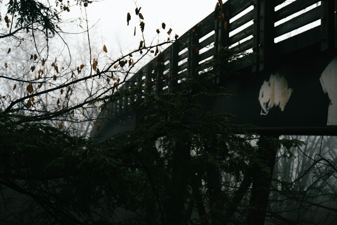 Rakka'da Köprüleri Havaya Uçuran SDG/YPG